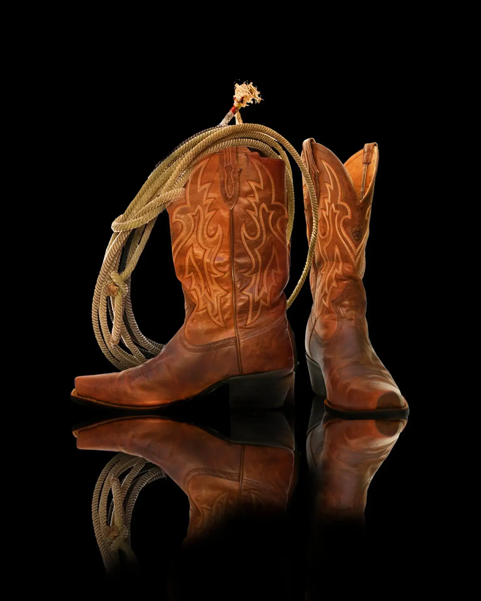 bootsbrokerhan scaled.webp